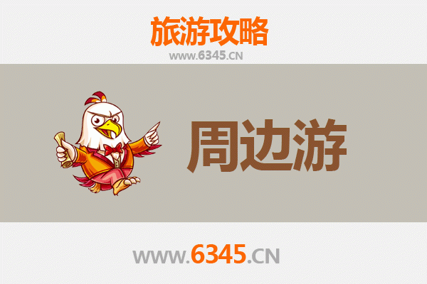 乐东志仲镇周边游攻略：探秘黎族文化与自然奇观