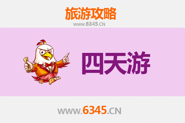 乐东志仲镇四天三夜深度游攻略：探索海南秘境，体验黎族文化